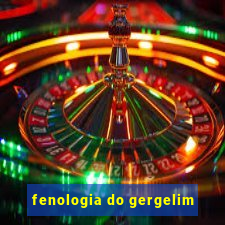 fenologia do gergelim